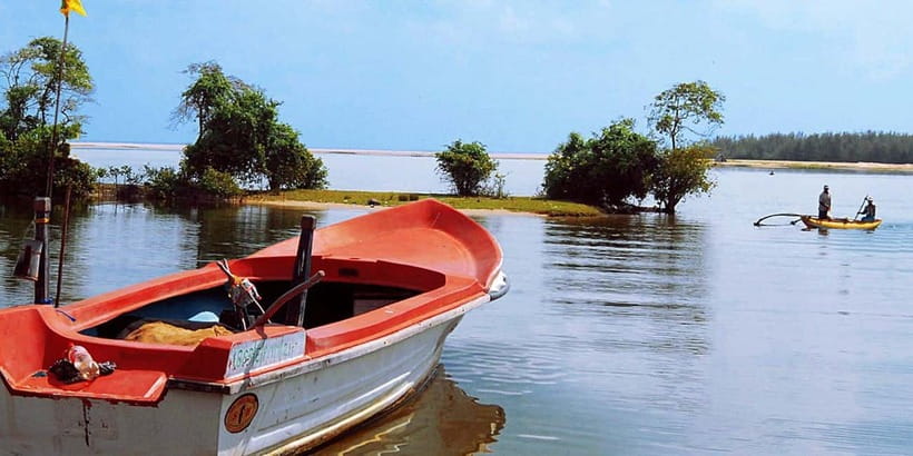 Madu River Boat Tour and Cinnamon Garden visit - Wildlife Spotting: Crocodiles and Friends, Without the Theme-Park Vibe