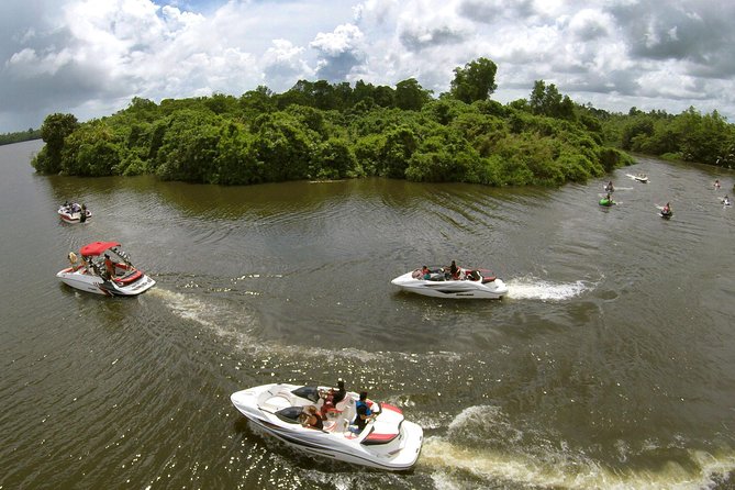 Madu River Safari at Balapitiya - Key highlights