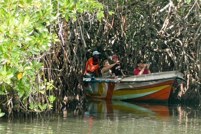 Madu River Safari at Balapitiya - A Madu River mangrove safari from Madu Ganga