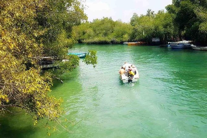 Madu River Safari at Balapitiya - Who should book this Madu River Safari?