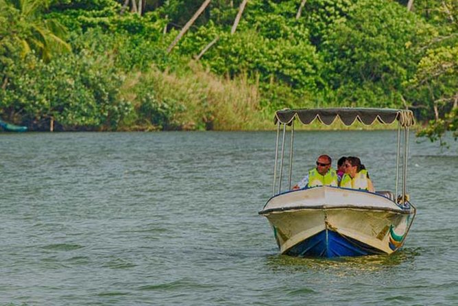 Madu River Safari at Balapitiya - Cinnamon Island: tea, peeling, and why it’s more than a demo