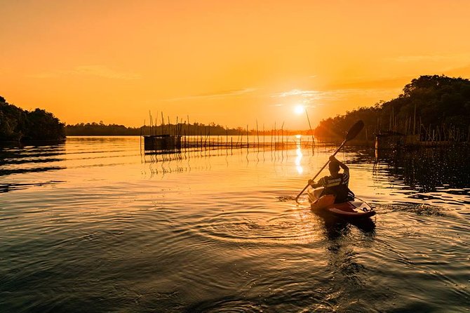 Madu River Sunrise Mangrove Kayaking - Key highlights you should know before you go