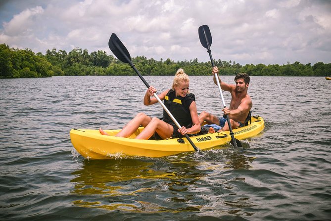 Madu River Sunrise Mangrove Kayaking - Price and Value: What $110 Buys You on the Water