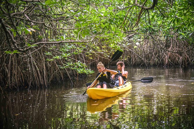 Madu River Sunrise Mangrove Kayaking - Snacks, Drinks, and How to Enjoy It Without Rushing