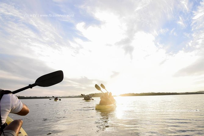 Madu River Sunrise Mangrove Kayaking from Bentota - Key highlights worth getting up early for