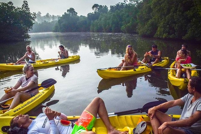 Madu River Sunrise Mangrove Kayaking from Bentota - Price and value: is $125 fair for what’s included?