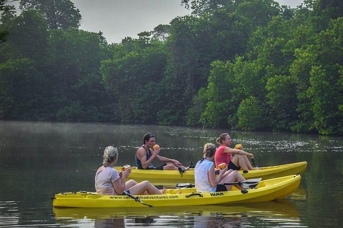 Madu River Sunrise Mangrove Kayaking from Bentota - Who this tour suits best (and who should pick another plan)