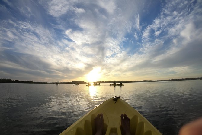 Madu River Sunrise Mangrove Kayaking from Bentota - Weather reality: what happens if the river won’t cooperate