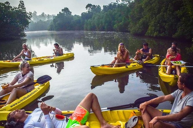 Madu River Sunrise Mangrove Kayaking from Colombo - Colombo pickup and the River Loft meeting point