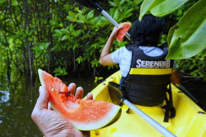 Madu River Sunrise Mangrove Kayaking from Colombo - Paddling the mangroves and islets from 6:00 to 9:30