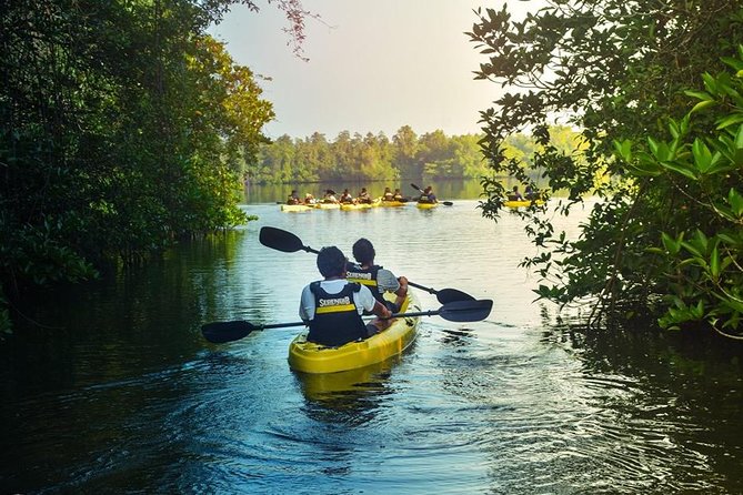 Madu River Sunrise Mangrove Kayaking from Colombo - Included safety gear, snacks, and the small comforts