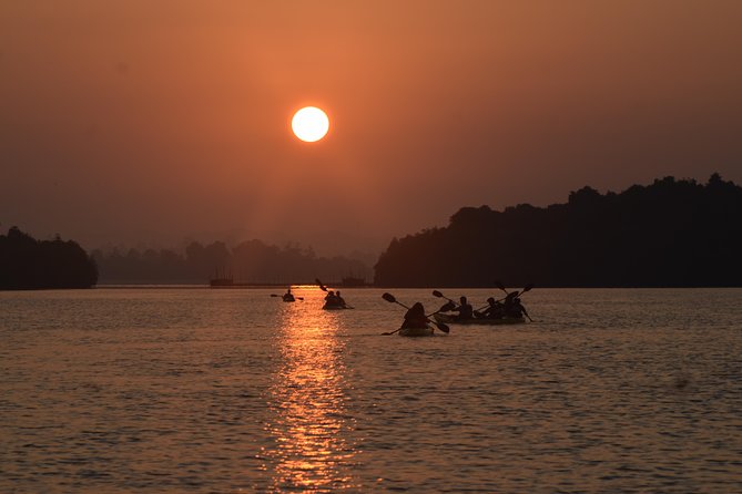 Madu River Sunrise Mangrove Kayaking from Colombo - Who should book this, and who might want a different plan