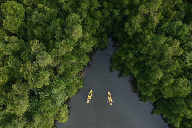 Madu River Sunrise Mangrove Kayaking from Colombo - Should you book Madu River Sunrise Mangrove Kayaking?