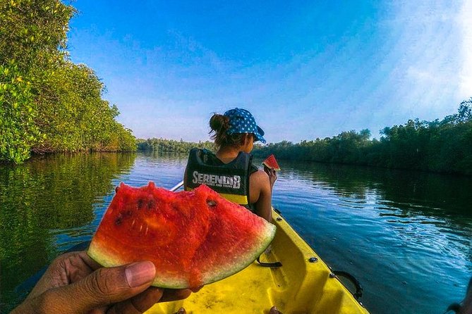 Madu River Sunrise Mangrove Kayaking from Colombo - The 5:20 to 5:45 setup: change, safety briefing, then launch