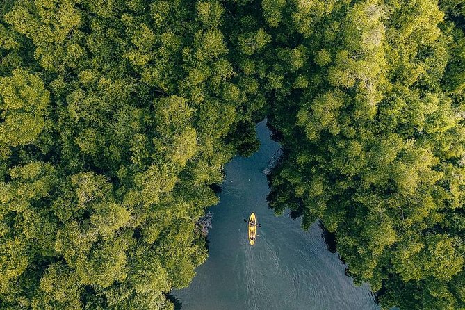 Madu River Sunrise Mangrove Kayaking - Madu River Mangroves: a Ramsar Wetland Worth Seeing Slow