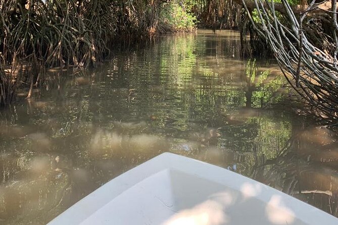 Mangrove Adventure - Weather and timing: plan around the estuary