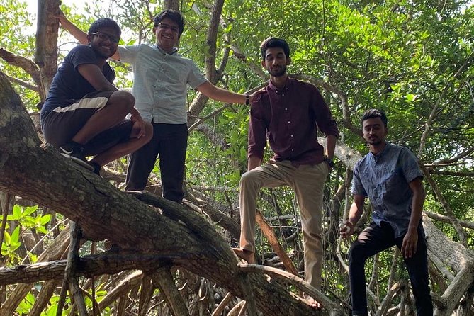 Mangrove Adventure - What you’ll do on the Bentota River estuary waters