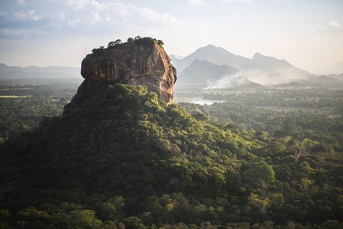 Minneriya Elephant Safari wth Sigiriya & Dambulla Cave Temples Full Day Tour - Minneriya safari in a jeep: how to spot more elephants faster