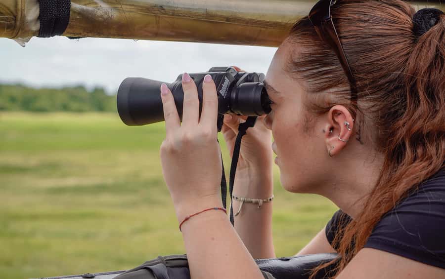 Minneriya: Minneriya National Park Private Elephant Safari - Photo tips that match this kind of safari