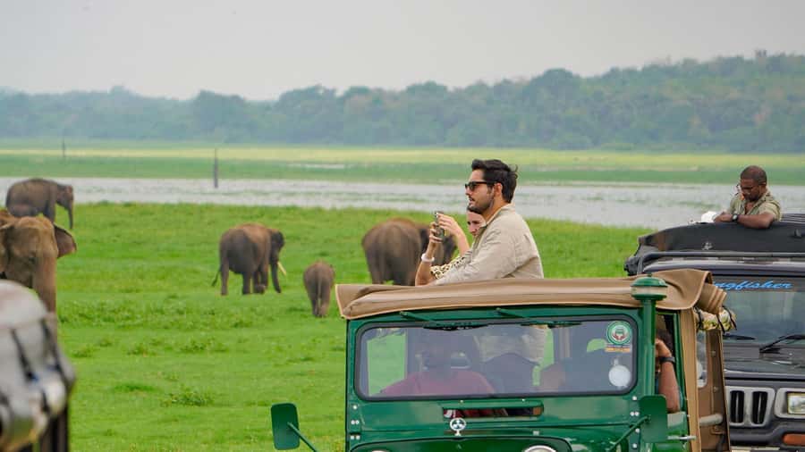 Minneriya: Minneriya National Park Private Evening Safari - Pickup From Dambulla, Sigiriya, or Habarana, and What Half-Day Really Means