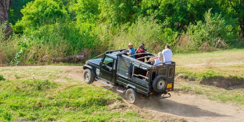 Minneriya: Minneriya National Park Private Safari - Best Time to Visit and How to Set Expectations