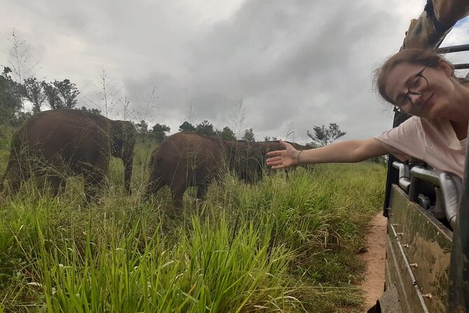 Minneriya National Park Elephant Jeep Safari Private Tour - Minneriya National Park, the wildlife mix you are actually aiming for
