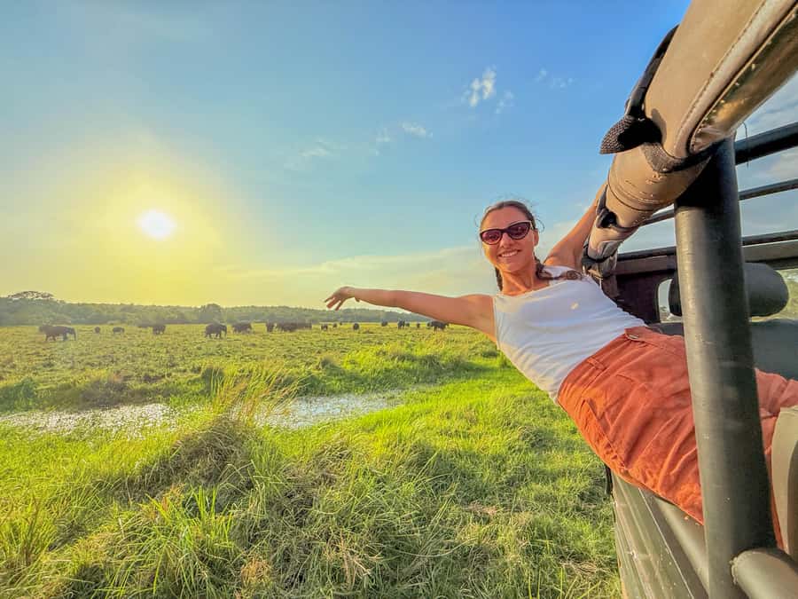 Minneriya: National Park Elephant Safari with Hotel Pickup - Key things that make this safari worth your time
