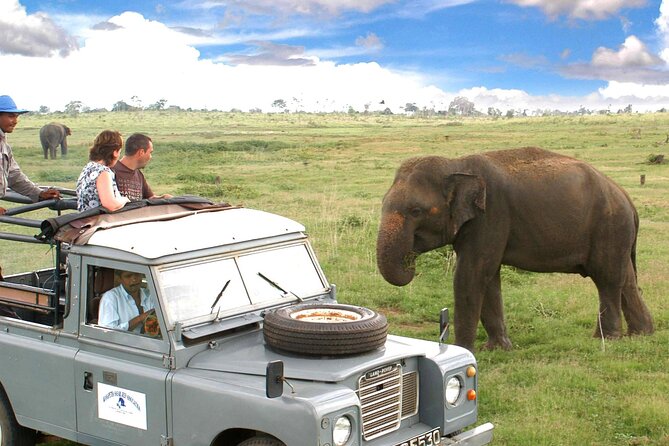 Minneriya National Park Private Safari from Habarana - Key highlights at a glance