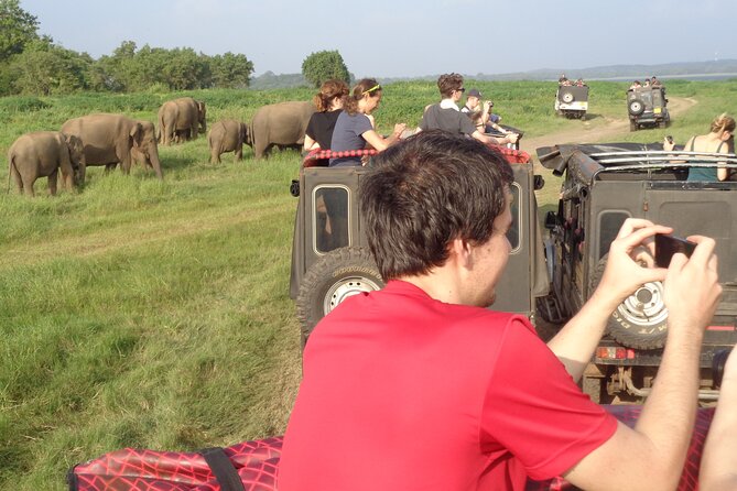 Minneriya National Park Private Safari from Habarana - Price and value: what you pay for, and what you should budget for