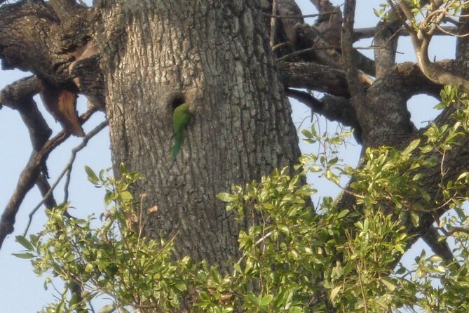 Minneriya National Park Private Safari from Habarana - Pickup, timing, and the real logistics you’ll want to plan for