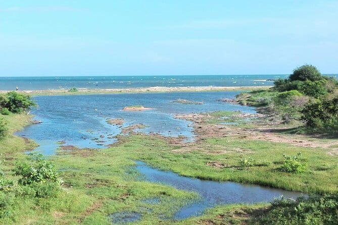 Minneriya National Park : Safari Jeep with Tickets - Evening Safari Timing: 2:30 pm Pickup to 5:30 pm Return