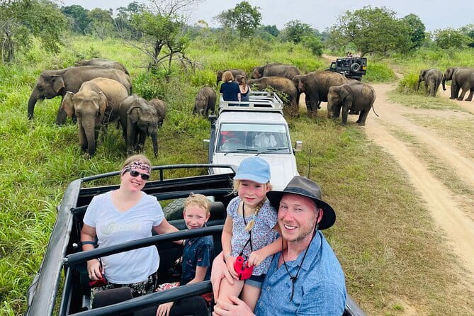 Minneriya National Park Safari - Private Jeep with Hotel Pickup - Key Highlights That Make This Safari Worth Your Time