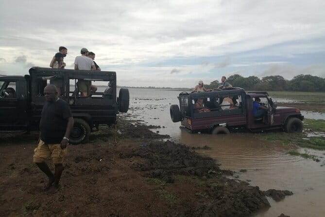 Minneriya National Park Safari - Private Jeep with Hotel Pickup - When Water Levels Change, Your Plan May Shift