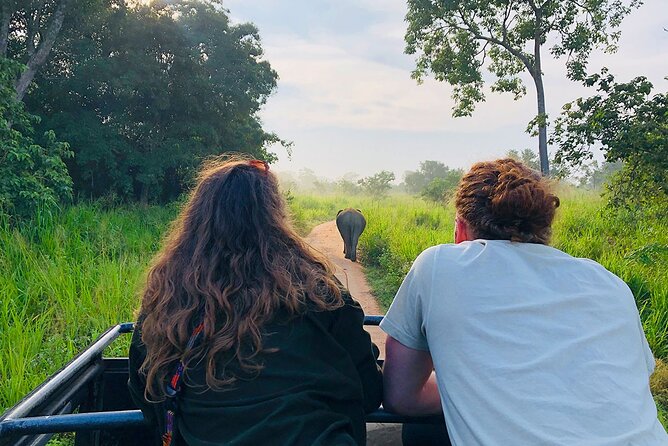Minneriya National park Safari Sri Lanka - Private safari setup: what it means for your group