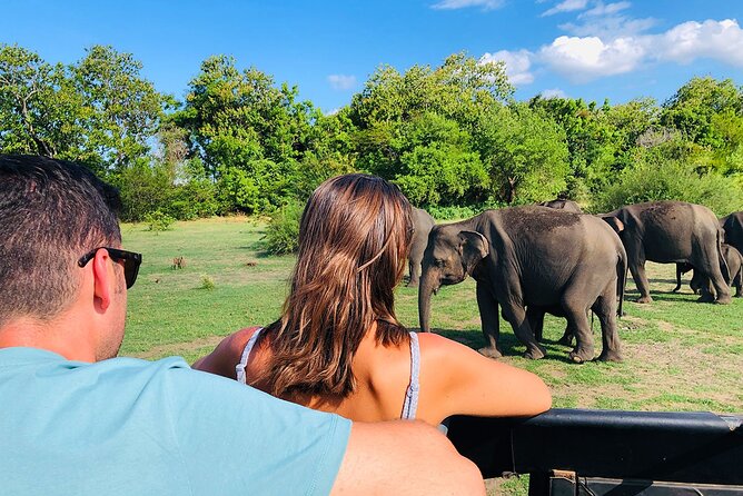 Minneriya National park Safari Sri Lanka - Mobile ticket and confirmation: small things that keep stress low