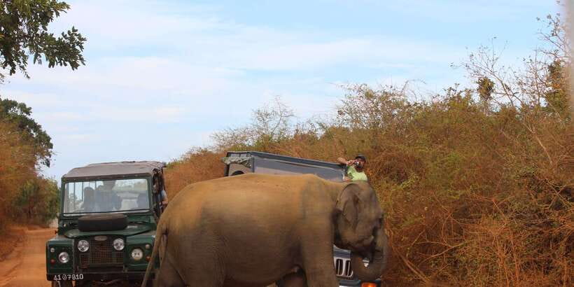 Minneriya: Private Jeep Safari From Trincomalee - The 4 hours in Minneriya National Park