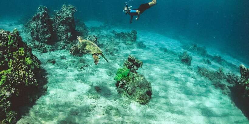 Mirissa: Snorkeling Experience with Turtles - Mirissa Turtle Snorkeling: Why this South Coast spot works