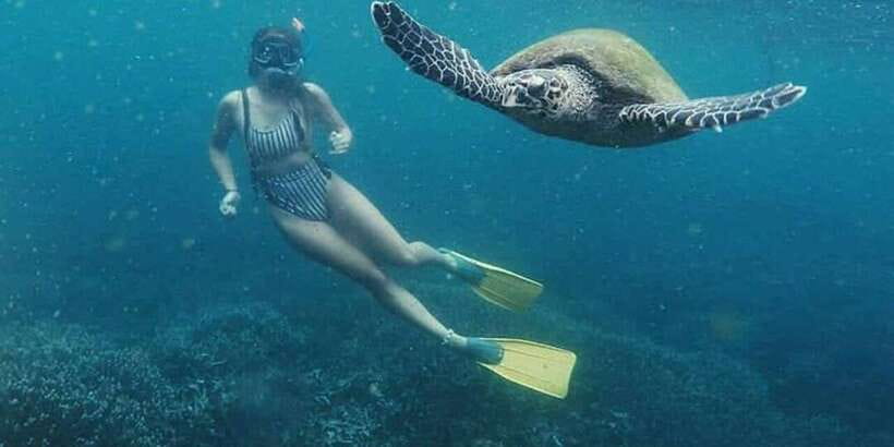 Mirissa: Snorkeling Experience with Turtles - Beyond turtles: fish spotting, rays, and the surprises