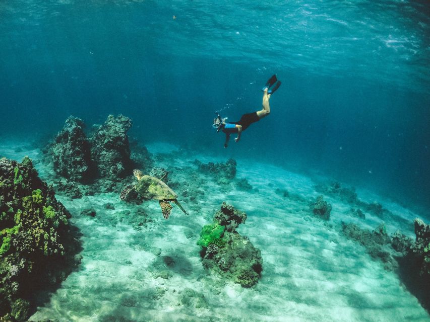 Mirissa: Snorkeling Experience with Turtles - Photos and videos are included, and they matter