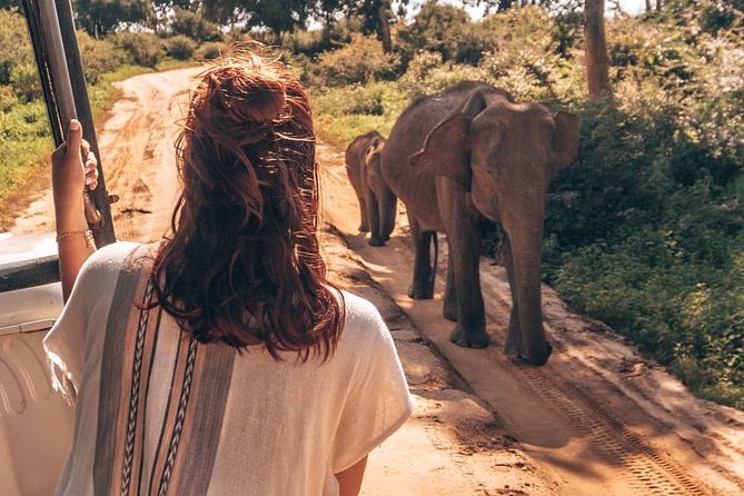 Mirissa to Ella Shuttle & Udawalawe Safari Drive with Breakfast - Price and logistics: where the $75 can move