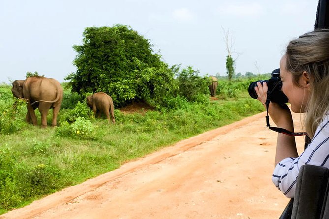 Mirissa to Ella Shuttle & Udawalawe Safari Drive with Breakfast - Wildlife spotting tips that match this specific safari