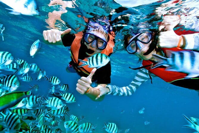 Mirissa Unforgettable Snorkeling Experience with Turtles - Price and Value: Is $24 Fair for a Turtle Swim?