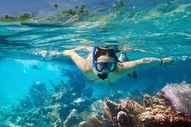 Mirissa Unforgettable Snorkeling Experience with Turtles - Guide Style in Mirissa, Including Nuwan’s Reputation