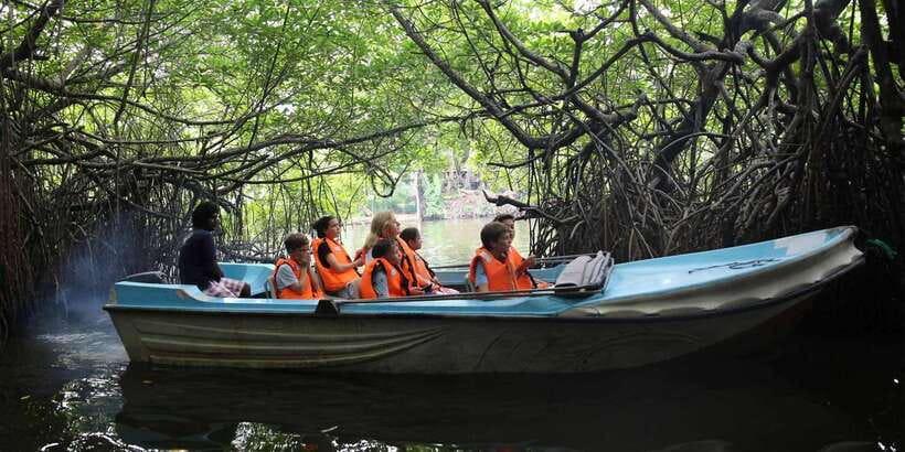 Mirissa/Weligama/Galle: Galle & Bentota Coastal Day Tour - Should You Book the Galle and Bentota Coastal Day Tour?