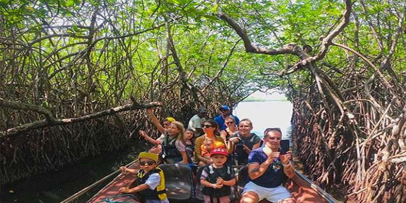 Mirissa/Weligama/Galle: Galle & Bentota Coastal Day Tour - The Madu Ganga Boat Safari: Mangroves, Marshlands, and Up-Close Sea Life