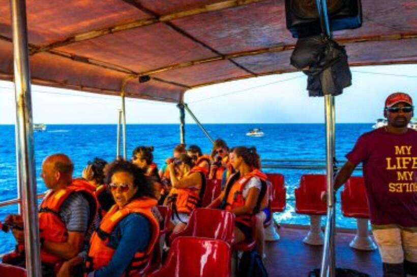 Mirissa: Whale Watching Cruise - Key things I’d watch for on this Mirissa cruise