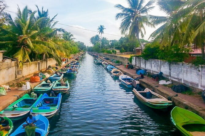 Monkey Island Boat Tour at Negombo Lagoon - The snack stop: banana, watermelon, pineapple, and king coconut