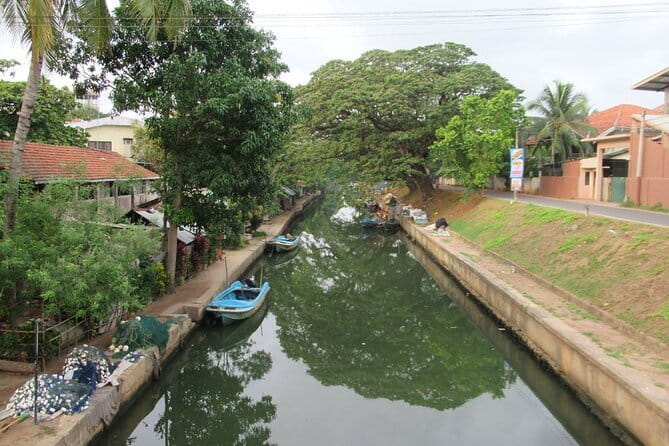 Monkey Island Boat Tour at Negombo Lagoon - Price and value: is $50 per person worth it?