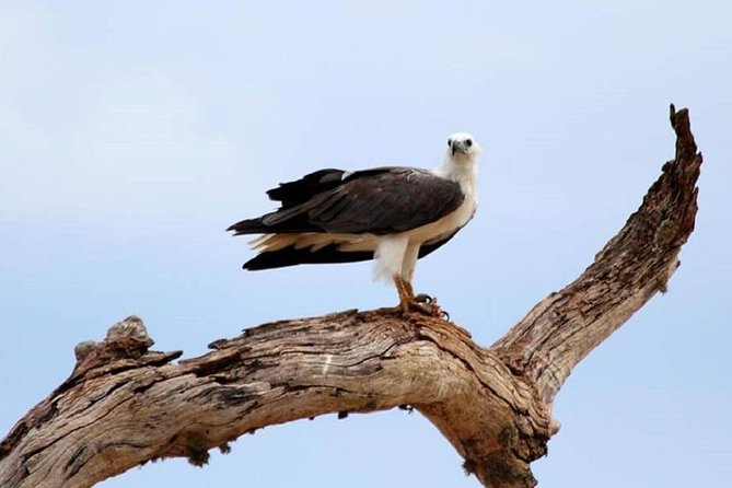 Morning 07 Hour Private Safari at Yala National Park by Yala La Safari Tours - Why a 4:30am Yala safari is really about timing