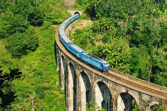 Most Popular Round Tour (5 Days) in Sri Lanka From Mirissa - Why a private driver matters on Sri Lanka’s twisty roads